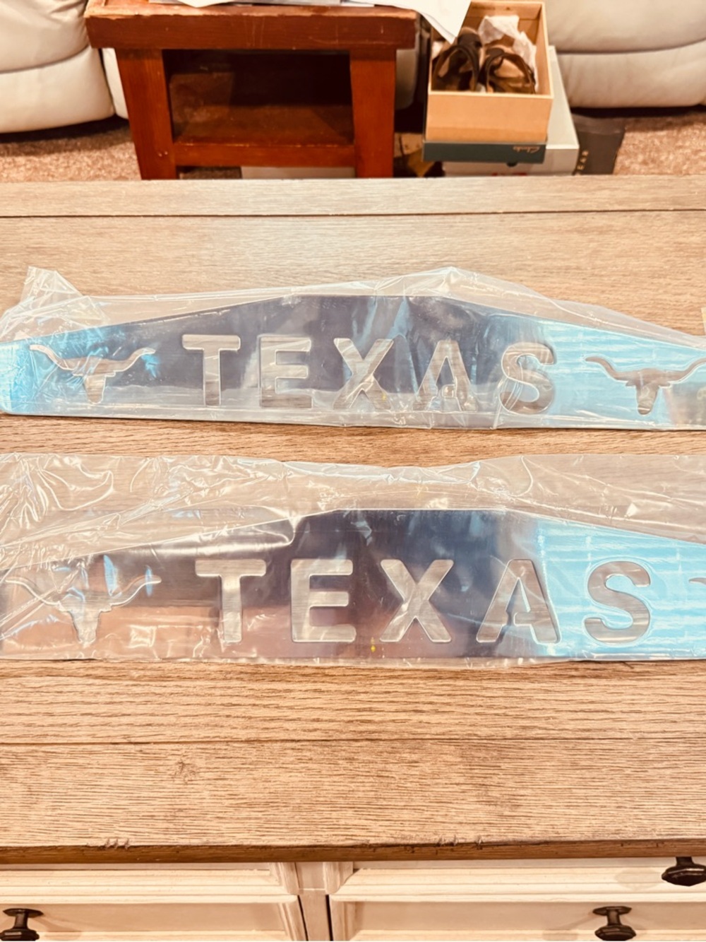 Texas Stainless Steel License Plate Topper - Pair
